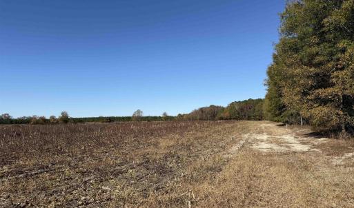 Photo #16 of 53.86 Acres-TBD Pate Rd, Bishopville, SC 53.9 acres