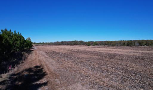 Photo #8 of 53.86 Acres-TBD Pate Rd, Bishopville, SC 53.9 acres