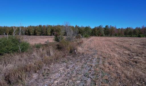 Photo #6 of 53.86 Acres-TBD Pate Rd, Bishopville, SC 53.9 acres