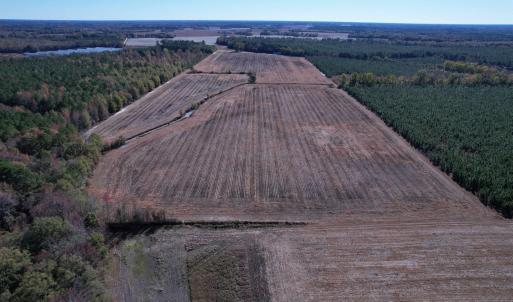 Photo #5 of 53.86 Acres-TBD Pate Rd, Bishopville, SC 53.9 acres