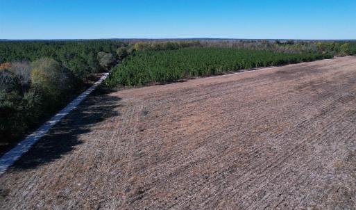 Photo #10 of 53.86 Acres-TBD Pate Rd, Bishopville, SC 53.9 acres