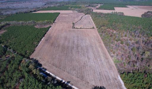 Photo #3 of 53.86 Acres-TBD Pate Rd, Bishopville, SC 53.9 acres
