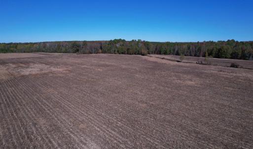 Photo #14 of 53.86 Acres-TBD Pate Rd, Bishopville, SC 53.9 acres