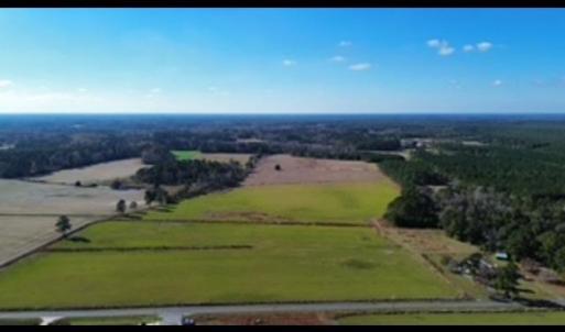 Photo #2 of Hwy 66 Hewitt Rd., Loris, SC 121.6 acres