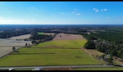 Photo #2 of Hwy 66 Hewitt Rd., Loris, SC 121.6 acres