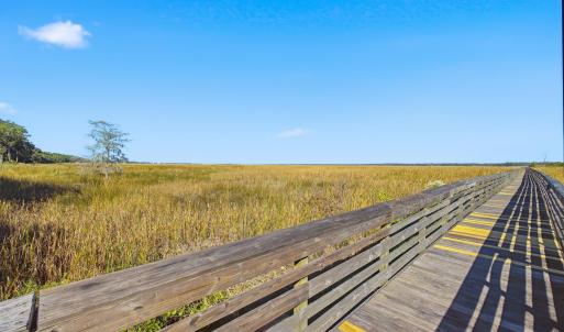Dock with a rural view