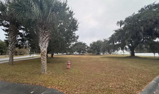 View of home's community with a lawn