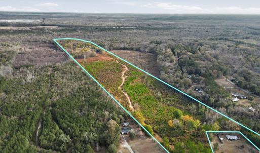 Photo #1 of TBD Old River Rd., Pamplico, SC 77.0 acres