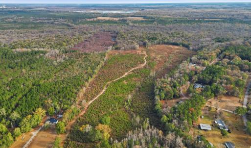 Photo #7 of TBD Old River Rd., Pamplico, SC 77.0 acres