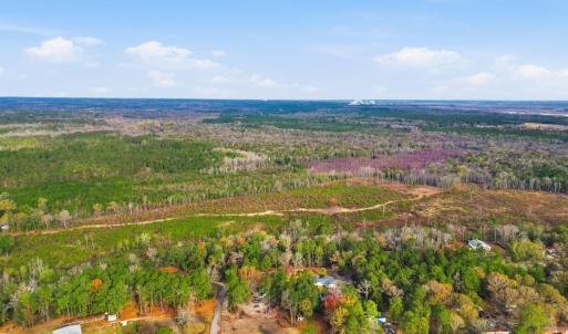 Photo #4 of TBD Old River Rd., Pamplico, SC 77.0 acres