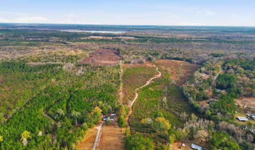 Photo #2 of TBD Old River Rd., Pamplico, SC 77.0 acres