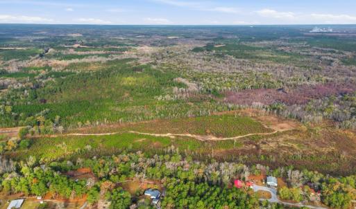 Photo #8 of TBD Old River Rd., Pamplico, SC 86.0 acres