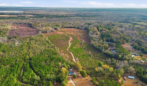 Photo #3 of TBD Old River Rd., Pamplico, SC 86.0 acres
