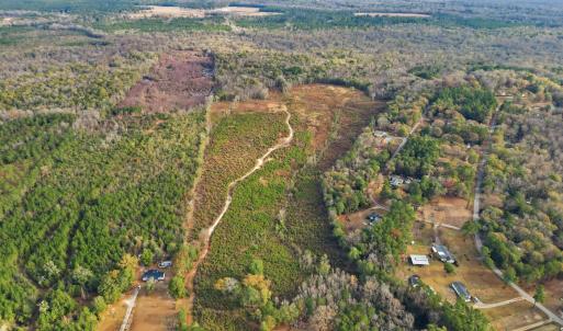 Photo #6 of TBD Old River Rd., Pamplico, SC 86.0 acres