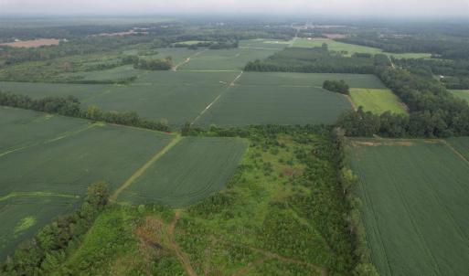 Photo #6 of 1335 Norwood Rd., Olanta, SC 80.0 acres