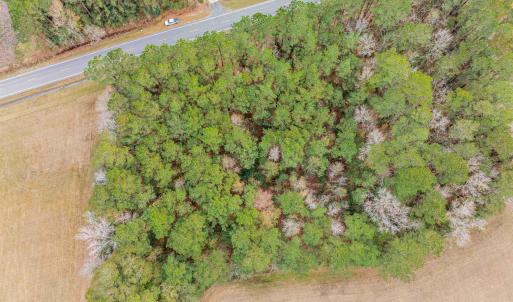 Photo #4 of TBD Vox Hwy., Johnsonville, SC 1.8 acres