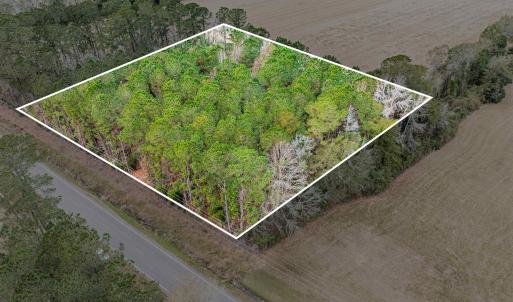 Photo #13 of TBD Vox Hwy., Johnsonville, SC 1.8 acres