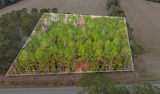 Photo #11 of TBD Vox Hwy., Johnsonville, SC 1.8 acres