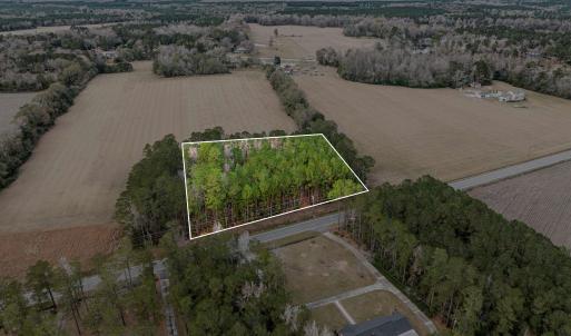 Photo #9 of TBD Vox Hwy., Johnsonville, SC 1.8 acres