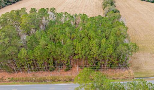 Photo #10 of TBD Vox Hwy., Johnsonville, SC 1.8 acres