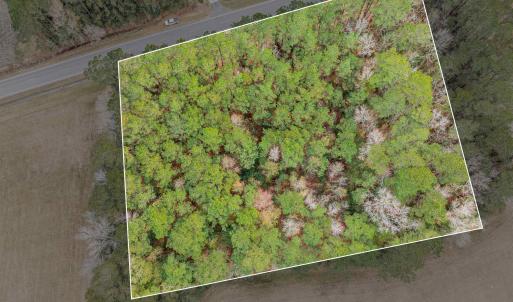 Photo #5 of TBD Vox Hwy., Johnsonville, SC 1.8 acres