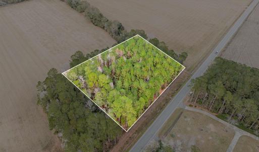 Photo #7 of TBD Vox Hwy., Johnsonville, SC 1.8 acres