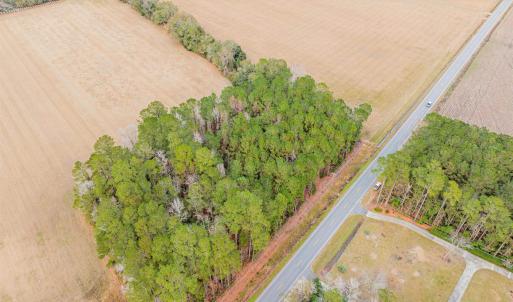 Photo #6 of TBD Vox Hwy., Johnsonville, SC 1.8 acres