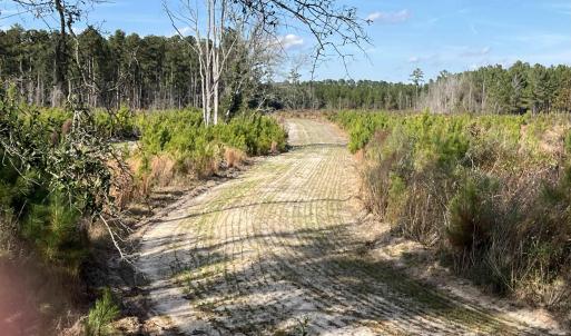 Photo #8 of Easler Hwy, Greeleyville, SC 178.0 acres
