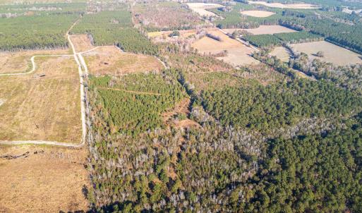 Photo #14 of Easler Hwy, Greeleyville, SC 178.0 acres
