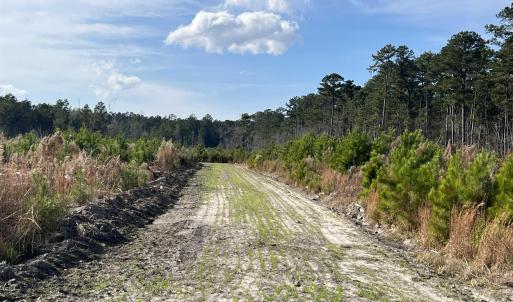 Photo #9 of Easler Hwy, Greeleyville, SC 178.0 acres