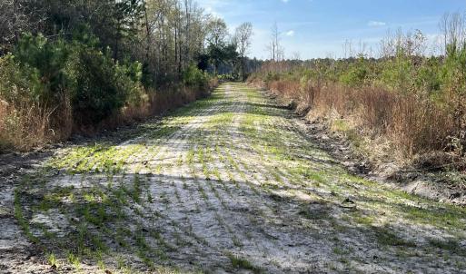 Photo #5 of Easler Hwy, Greeleyville, SC 178.0 acres