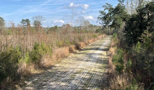 Photo #7 of Easler Hwy, Greeleyville, SC 178.0 acres