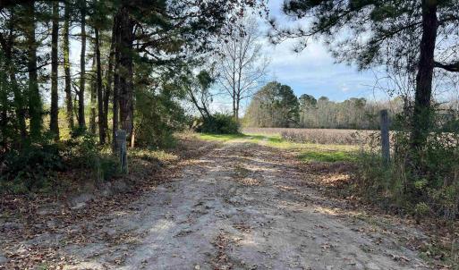 Photo #3 of Easler Hwy, Greeleyville, SC 178.0 acres