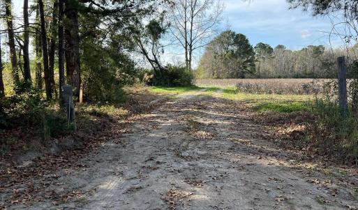 Photo #4 of Easler Hwy, Greeleyville, SC 178.0 acres