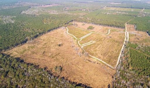 Photo #15 of Easler Hwy, Greeleyville, SC 178.0 acres