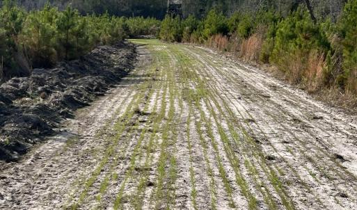 Photo #10 of Easler Hwy, Greeleyville, SC 178.0 acres