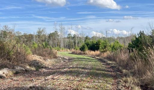 Photo #11 of Easler Hwy, Greeleyville, SC 178.0 acres