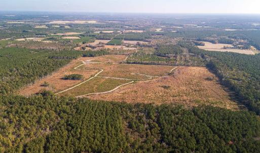 Photo #2 of Easler Hwy, Greeleyville, SC 178.0 acres