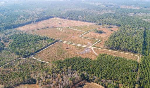 Photo #16 of Easler Hwy, Greeleyville, SC 178.0 acres