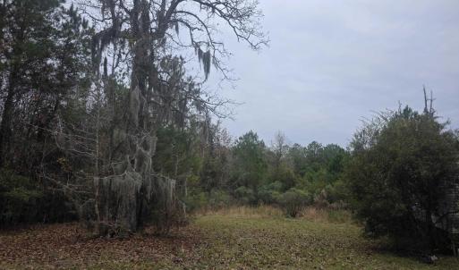 Photo #7 of 4339 Randall Rd., Conway, SC 3.5 acres