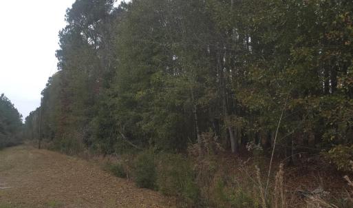 Photo #3 of 4339 Randall Rd., Conway, SC 3.5 acres