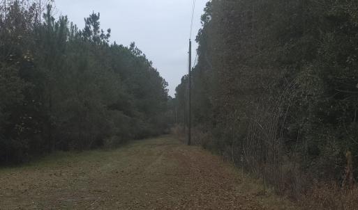 Photo #1 of 4339 Randall Rd., Conway, SC 3.5 acres