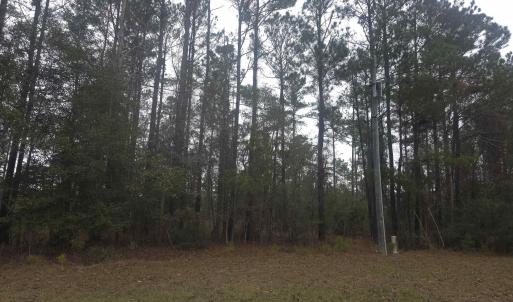 Photo #2 of 4339 Randall Rd., Conway, SC 3.5 acres