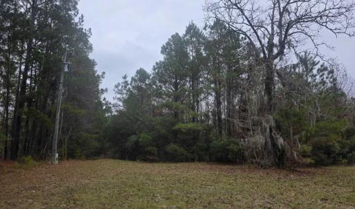 Photo #4 of 4339 Randall Rd., Conway, SC 3.5 acres
