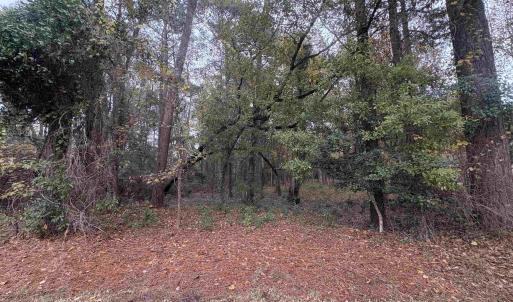 Photo #3 of Lot 34 Old Augusta Dr., Pawleys Island, SC 0.7 acres