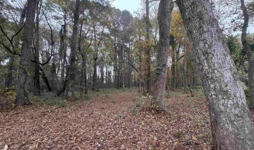 Photo #14 of Lot 34 Old Augusta Dr., Pawleys Island, SC 0.7 acres
