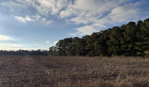 Photo #3 of TBD Thomas Dr., Kingstree, SC 1.1 acres