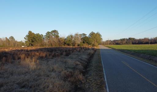 Photo #8 of 5441 Carolina Rd., Green Sea, SC 8.3 acres