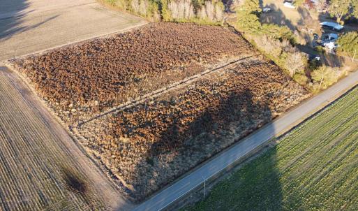 Photo #5 of 5441 Carolina Rd., Green Sea, SC 8.3 acres