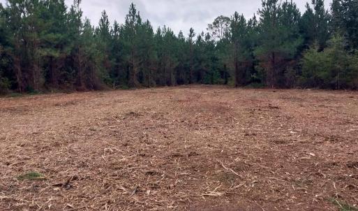 Photo #2 of Lot 7&8 Harper Rd., Marion, SC 2.7 acres